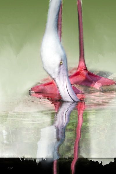 Spiegelung des Flamingos von Alida van Luijn-Toet