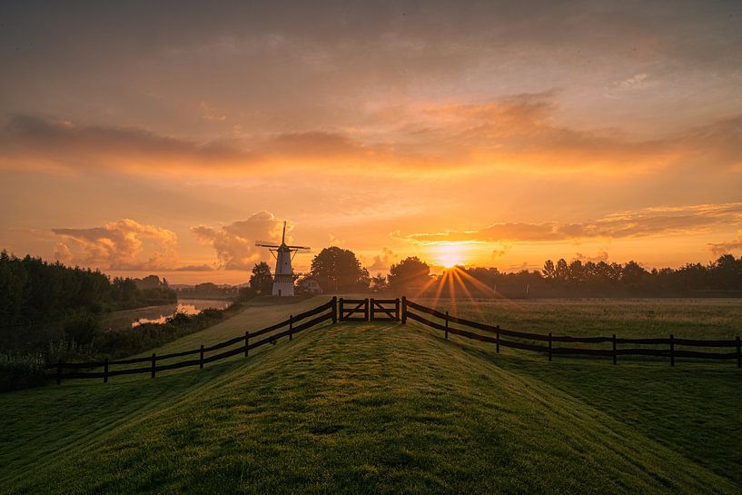 Mill the Butterfly during sunrise by Alex van den Akker
