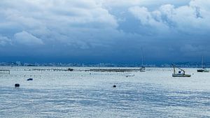 Moody Coastline – Photographies de paysages marins évocateurs  Description