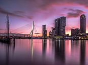 Rotterdam in de ochtendglorie van Sjoerd Van der Pluijm thumbnail