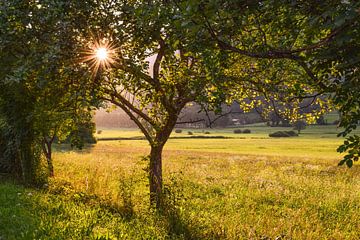 Sužid, Slowenien von Jarne Buttiens
