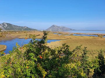 View of Lake Scutari National Park by zam art