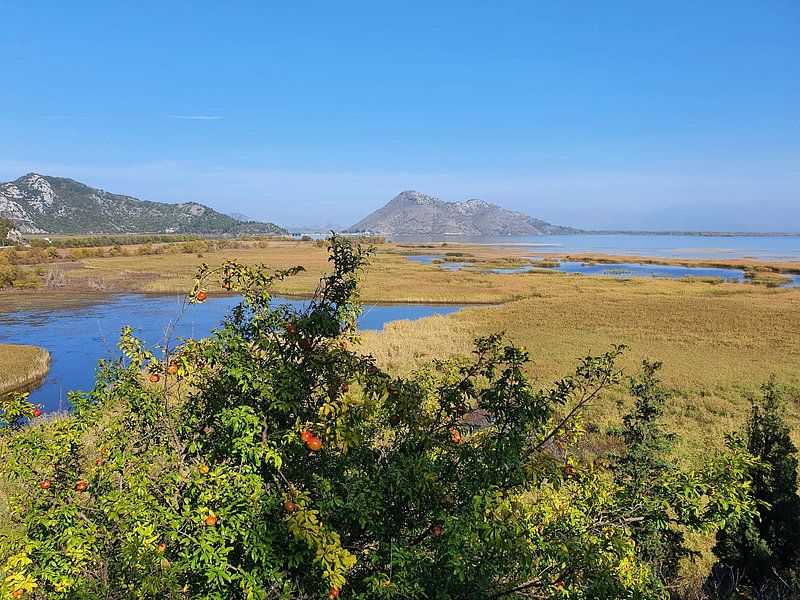 Blick auf den Nationalpark Skutarisee von zam art