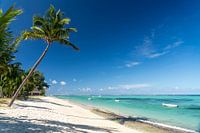 Droomstrand Mauritius