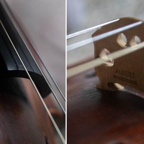 Violon Combi 01 | Image sur Yvonne Warmerdam | Made to resonate