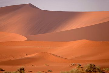 Sossusvlei Duinen, Namibië van Peter Schickert