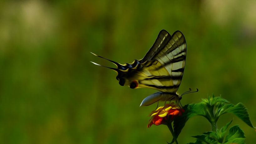 Butterfly oil paint van Loraine van der Sande