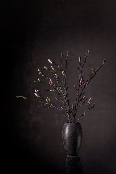 Magnolia in brown by Hille Monster