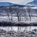 Winterlandschaft, Schottland von Bob Slagter Miniaturansicht