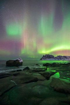 Northern Lights Dance Above Lofoten’s Coast by Olga Ilina