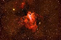 Omeganevel - Messier 17  NGC 6618) van Monarch C. thumbnail