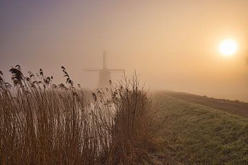 Mühle, Nebel und eine wässrige Sonne