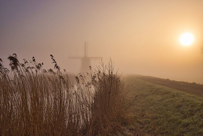 Mill,fog and a watery sun by peterheinspictures