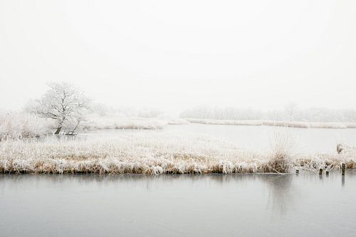 Winter in Nederland van Nicolette Schuur