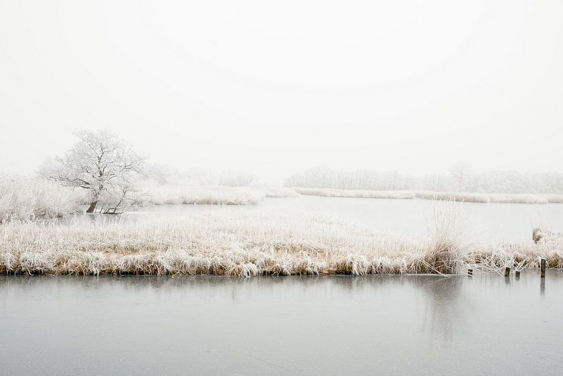 Winter in den Niederlanden von Nicolette Schuur