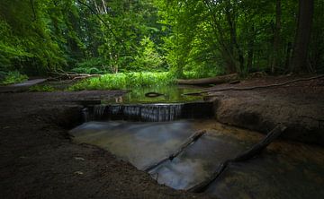 Waterloopbos van Richard Lubbers