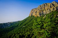 Penyal de Migdia
