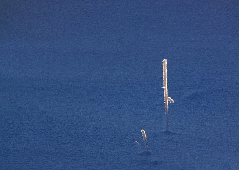 Winterlicher Minimalismus, Norwegen von Adelheid Smitt