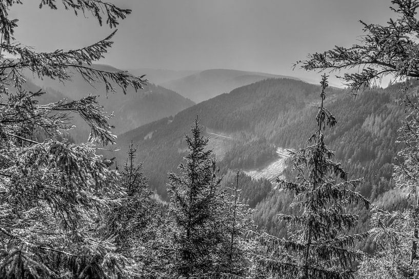 Paysage dans le brouillard, Goslar, Harz par Torsten Krüger