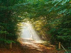 Light in the dark tunnel by Kay Wils