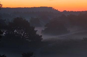 Sunrise over the Brunssumerheide