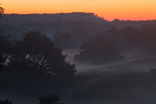 Zonsopkomst op de Brunssumerheide