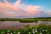 Pink clouds above polder landscape