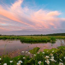 Roze wolken boven polder landschap van Menno van der Haven