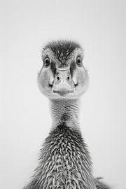 Duck by Poster Art Shop