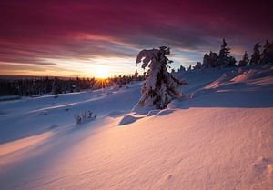 Zonsondergang in Noorwegen van Rob Kints