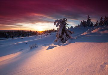 Zonsondergang in Noorwegen van Rob Kints