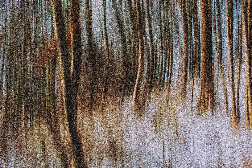 Goldener Winter von Photoart-Naegele