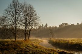 Morning quiet on the shore by Studio Liefkoos
