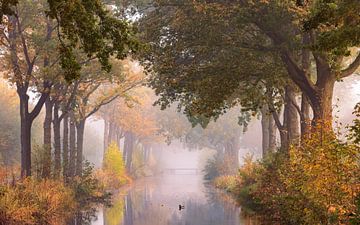 Herfst in de Groninger Veenkoloniën van Marga Vroom