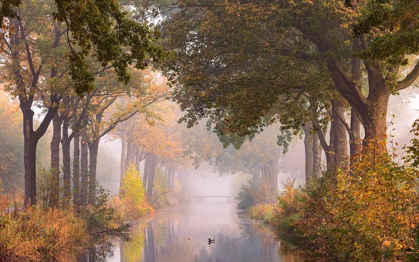 Autumn in the Groninger Veenkoloniën by Marga Vroom