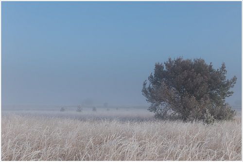 in het blauwe uurtje