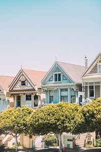 Painted Ladies