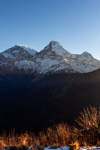 Besneeuwde bergen in de Himalaya in de ochtend van Mickéle Godderis