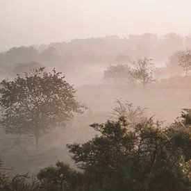 een mistig landschap van Angelique Rademakers