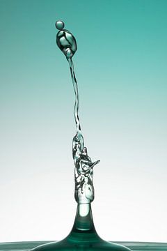 Drops of water (1) van Danielle van Doorn