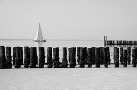 Wellenbrecher an der Küste bei Zoutelande von Richard van Hoek