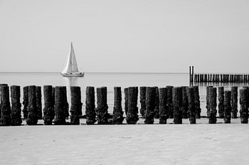 Breakwaters along the coast near Zoutelande