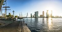 Rotterdam Skyline | Zonsopgang vanaf de Veerhaven van Ricardo Bouman thumbnail