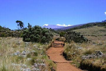 Kilimanjaro by Gert-Jan Siesling