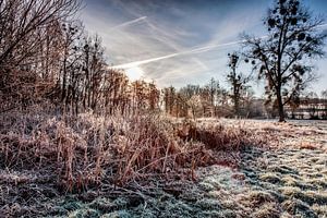 Winter in Epen van Rob Boon