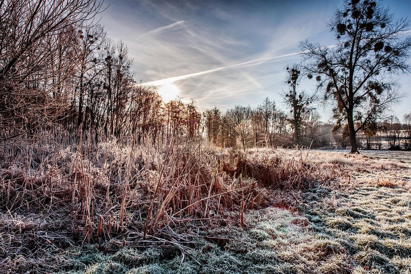L'hiver à Epen par Rob Boon