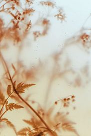 Plastic Nature by Robin