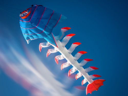 Drachenfestival Grömitz