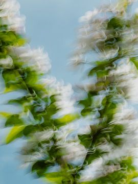 De golven van Bloesem | Kleurrijke bloemen fotografie van Ezme Hetharia
