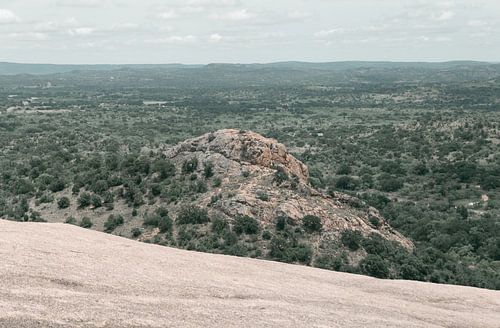 Der Fels in der Mitte des Waldes